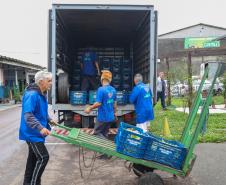 Estado mobiliza doação de 8 toneladas de frango por cooperativas; Defesa Civil entrega de cestas básicas