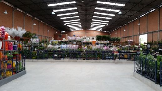 Fotos da obras no Mercado das Flores