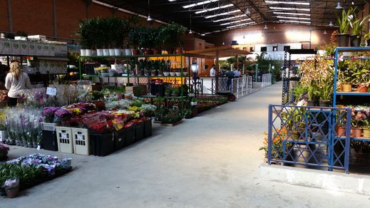 Fotos da obras no Mercado das Flores