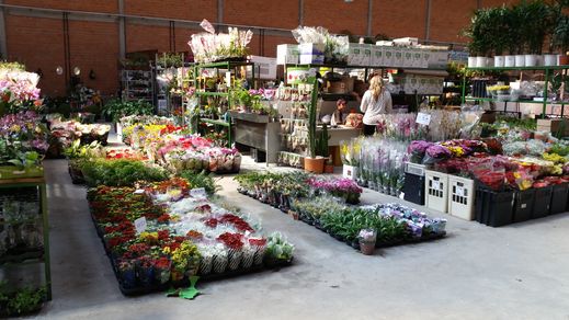 Fotos da obras no Mercado das Flores