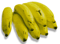 Cacho de Bananas