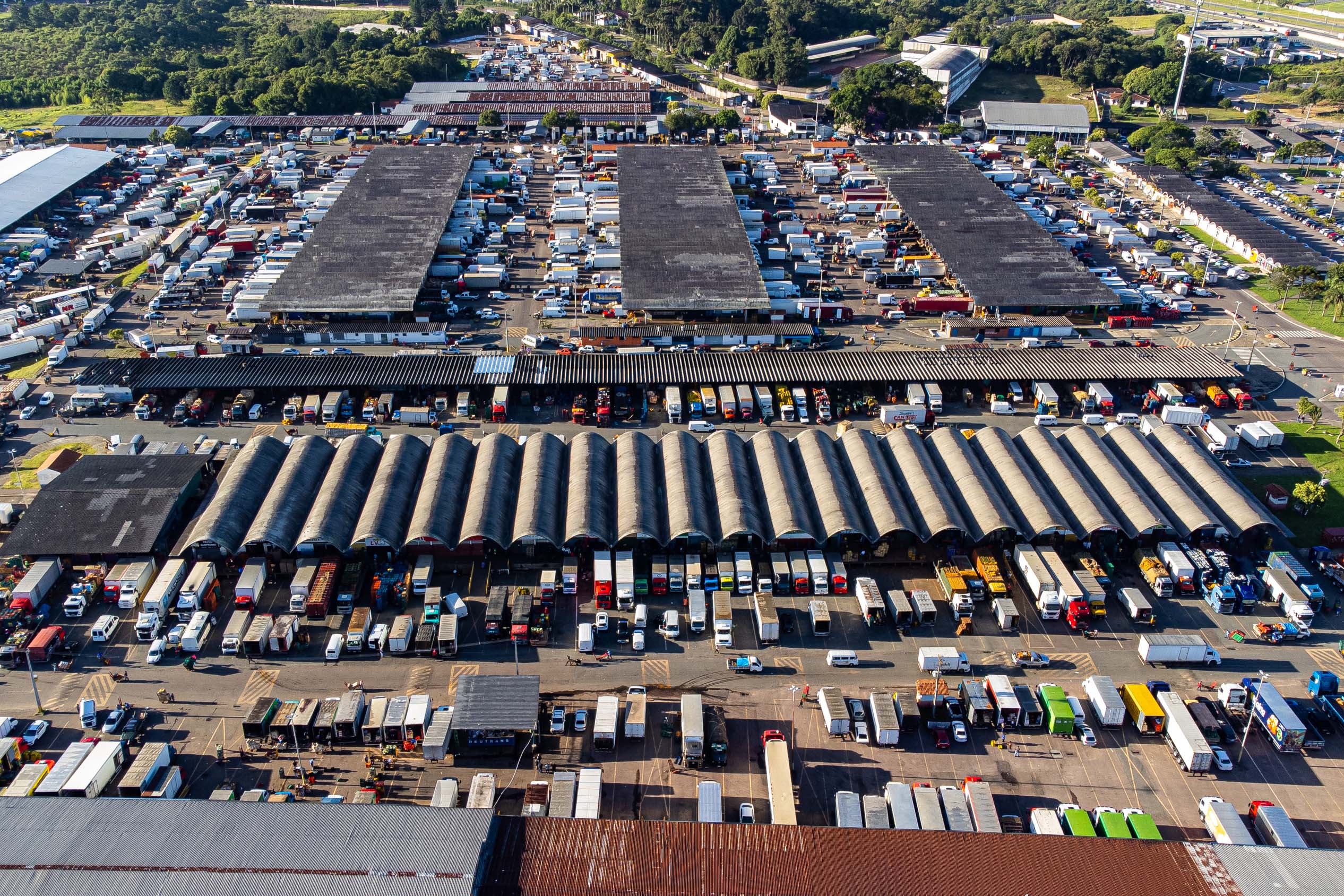 Roberto Dziura Jr/AEN