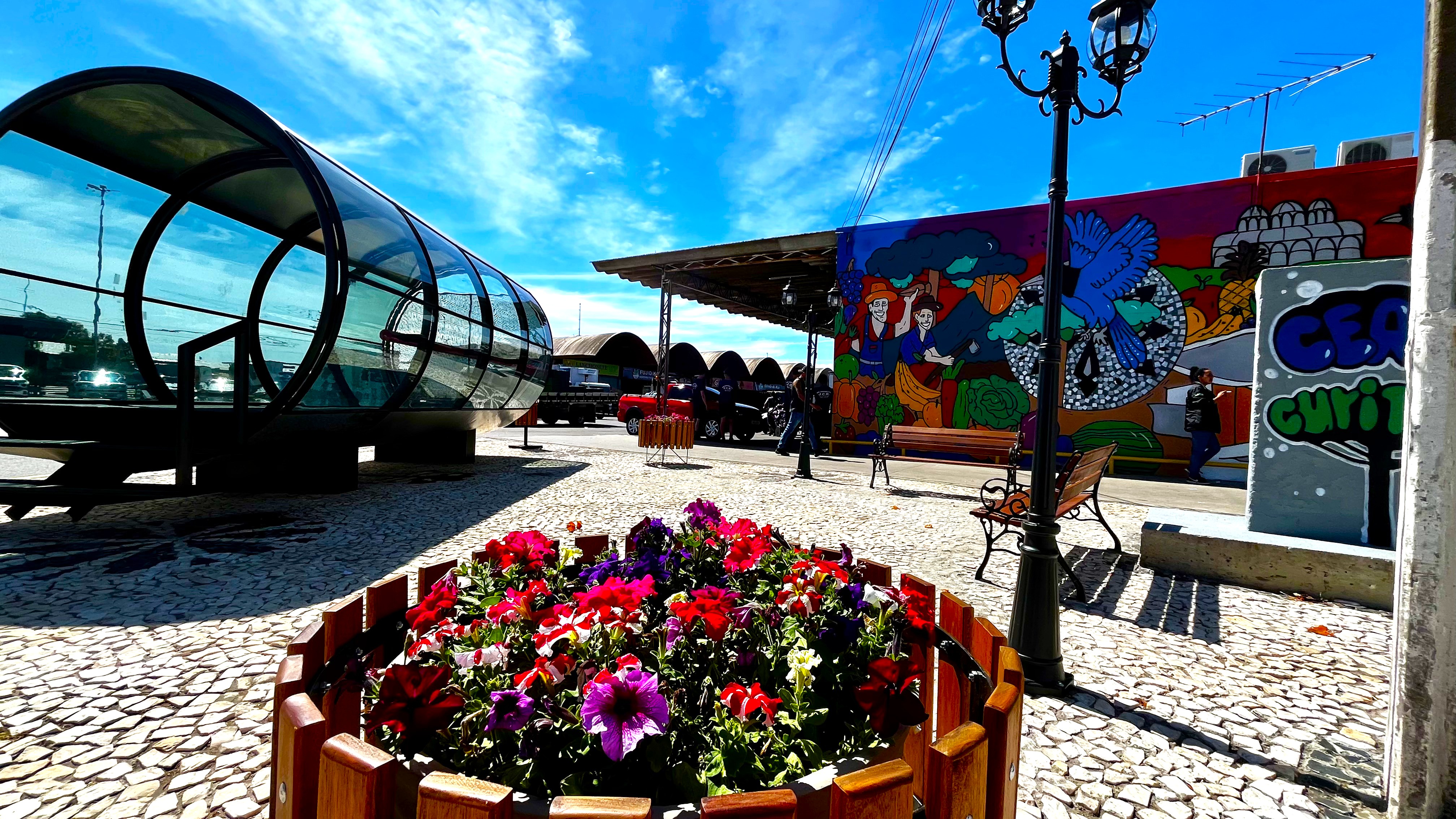 Da Rua XV para a Ceasa: um tributo à identidade curitibana