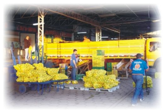 Mercado