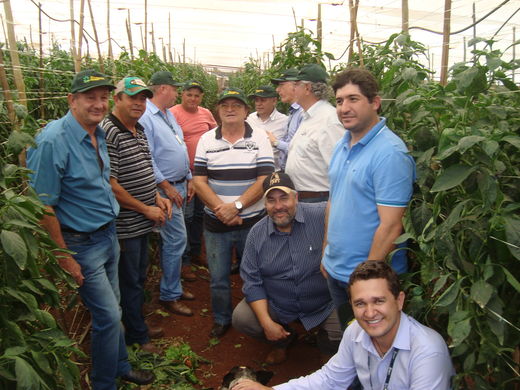 Visita