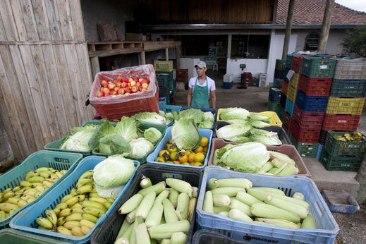 Agroecologia