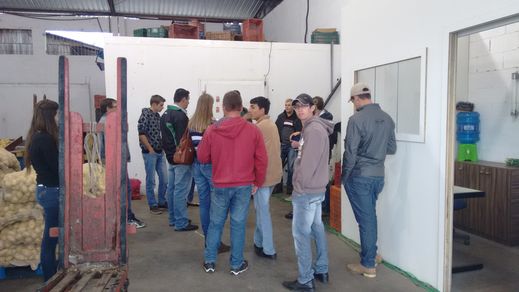 Visita