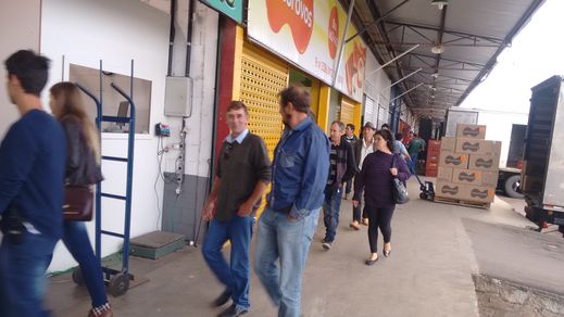 Visita