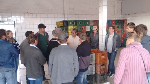 Visita