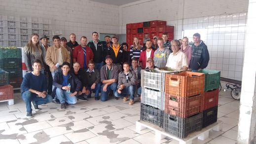 Visita