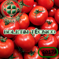 boletim
