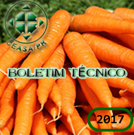 boletim