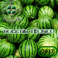Boletim