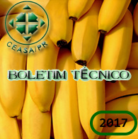 Boletim
