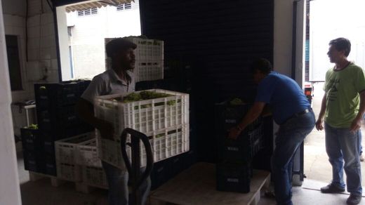 Banco  de Alimentos doações para Cic e Portão