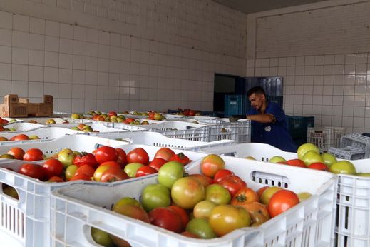 Banco de Alimentos