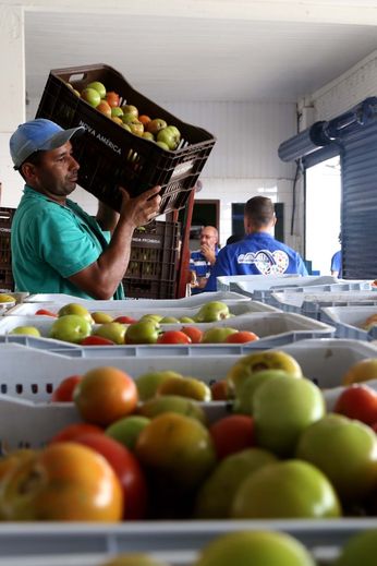 Banco de Alimentos