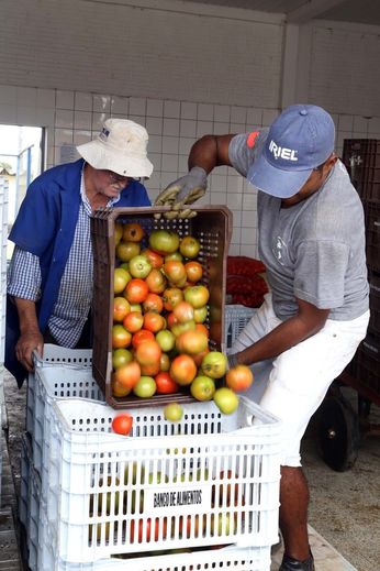 Banco de Alimentos
