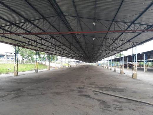 Mercado do Produtor