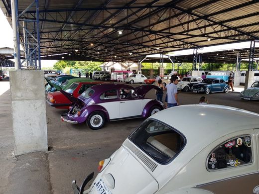 Dia do Fusca