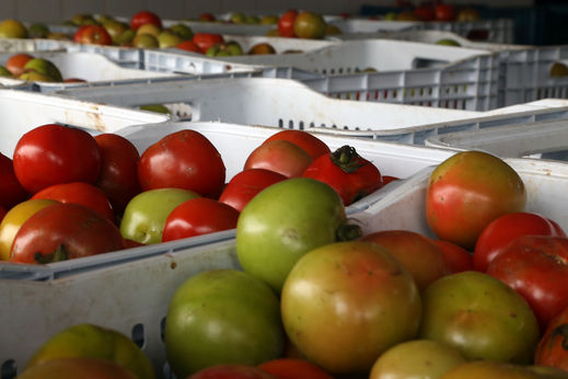 Banco de Alimentos