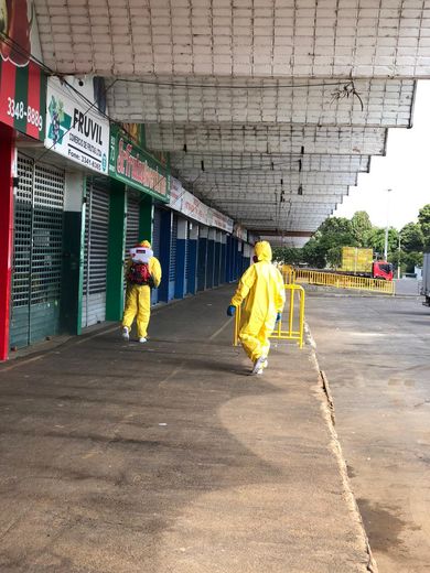 Ceasa Curitiba