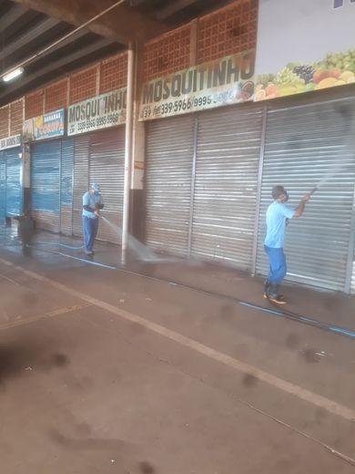 Londrina
