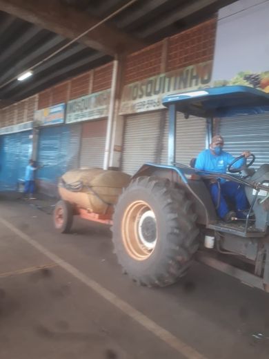 Londrina