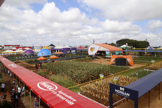 Show Rural