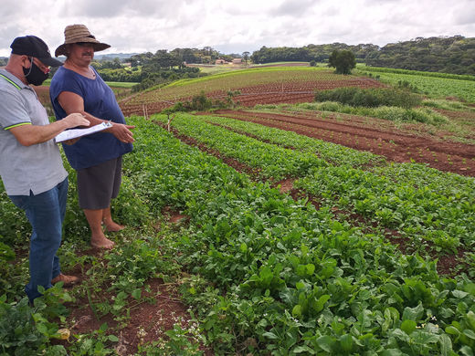 Agricultura