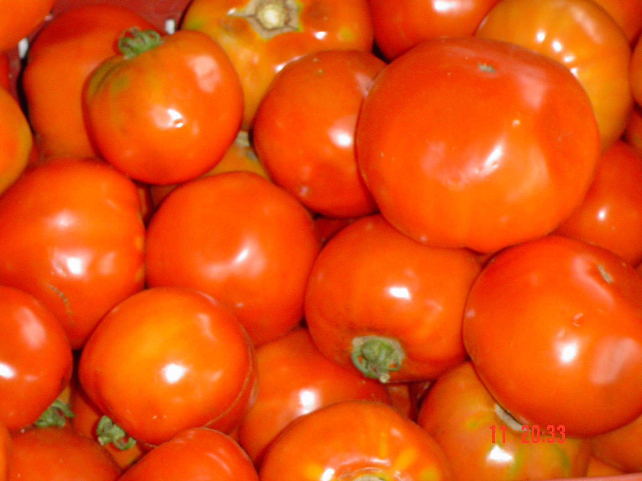 Tomate