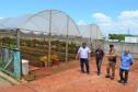 Ceasa Paraná visita Projeto Horta Solidária de Foz do Iguaçu