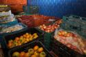 Governo comemora um ano do Banco de Alimentos da Ceasa Paraná