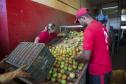 agricultura