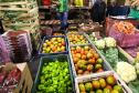 agricultura