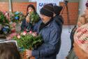 curso flores