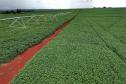 agricultura