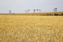agricultura