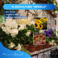 MERCADO DE FLORES
