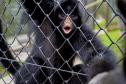 Parceria entre IAT e Ceasa ajuda a matar a fome de animais silvestres em criadouros