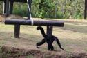 Ceasa vai doar alimentos para o Zoológico de Curitiba