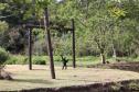 Ceasa vai doar alimentos para o Zoológico de Curitiba