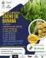 Concurso premiou os melhores cachos de banana, destacando a qualidade da produção no Vale do Ivaí.