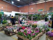 Mercado das Flores em Curitiba