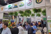 Seagri e cooperativas da agricultura familiar participam de feira internacional de frutas