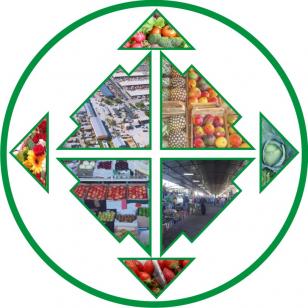 Logomarca Ceasa
