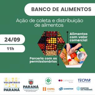 voluntariado