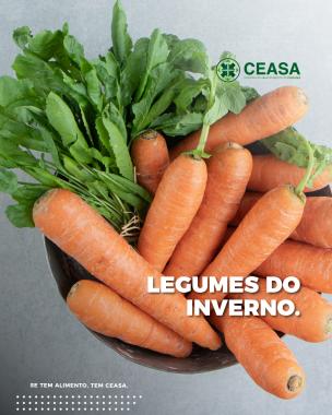 Legumes de inverno