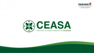 ceasa porto amazonas