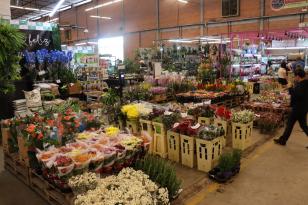 flores
